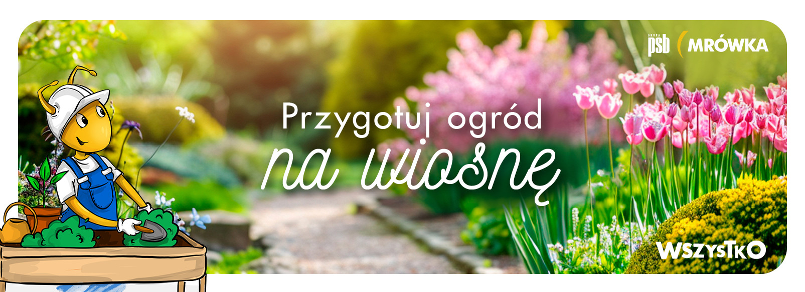 Grupa PSB mrowka PSB Mrówka Dąbrowa Tarnowska